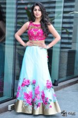 Nikki Galrani at Krishnashtami Movie Platinum Disc Function